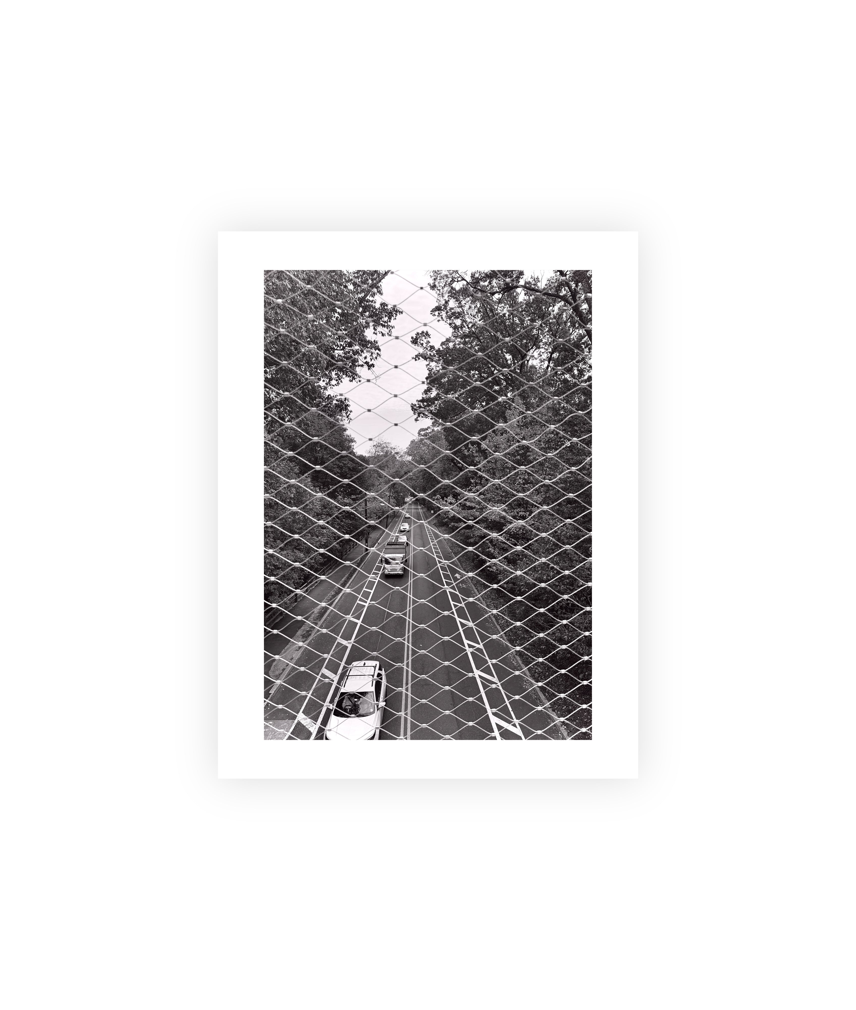Seeing Through
