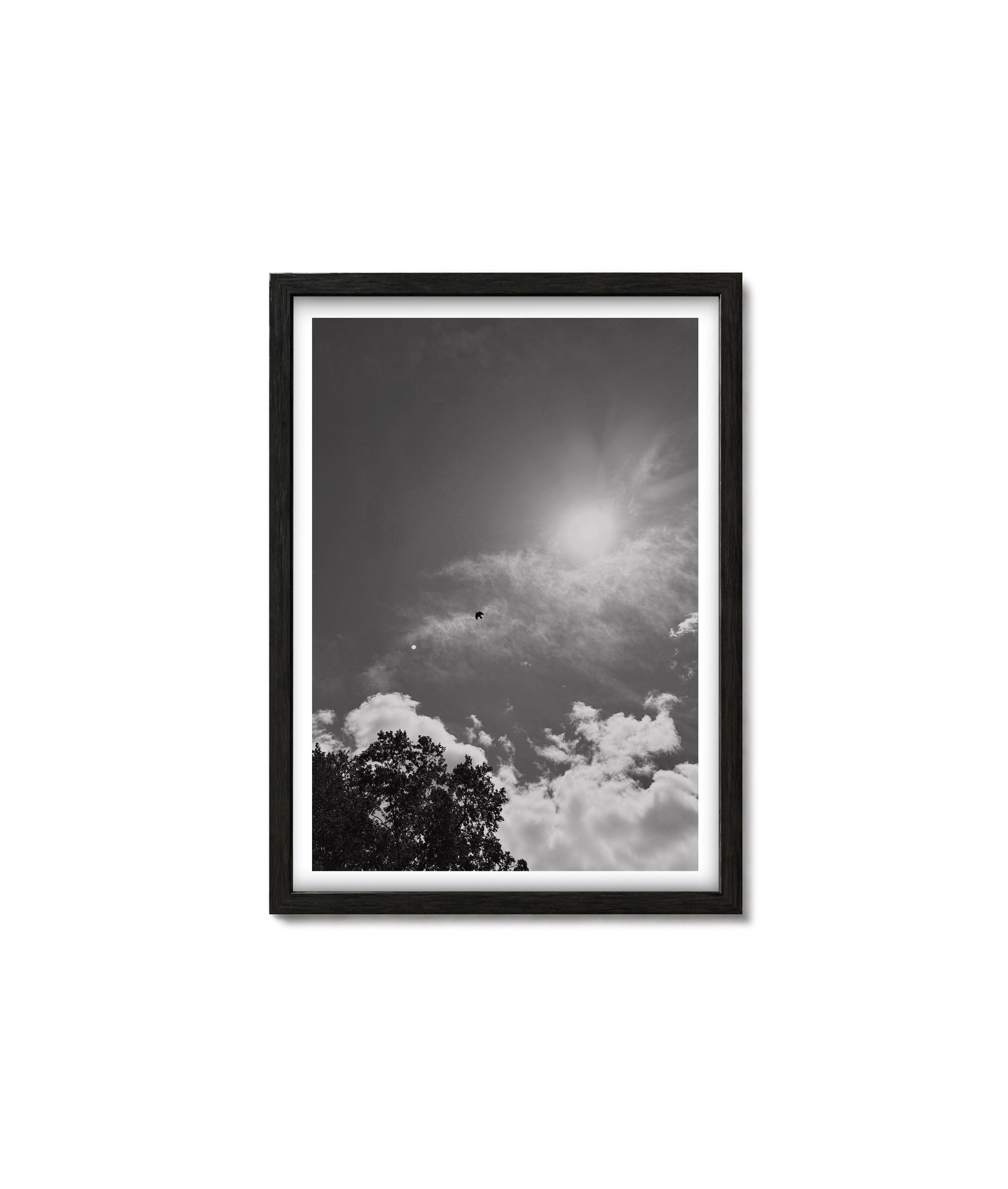 Framed black and white photograph of a sunlit sky with clouds and trees.